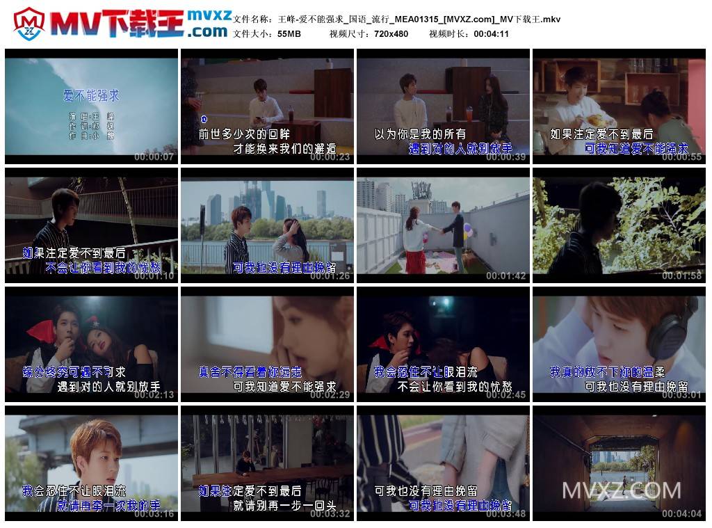 王峰-爱不能强求_国语_流行_MEA01315